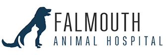 Link to Homepage of Falmouth Animal Hospital
