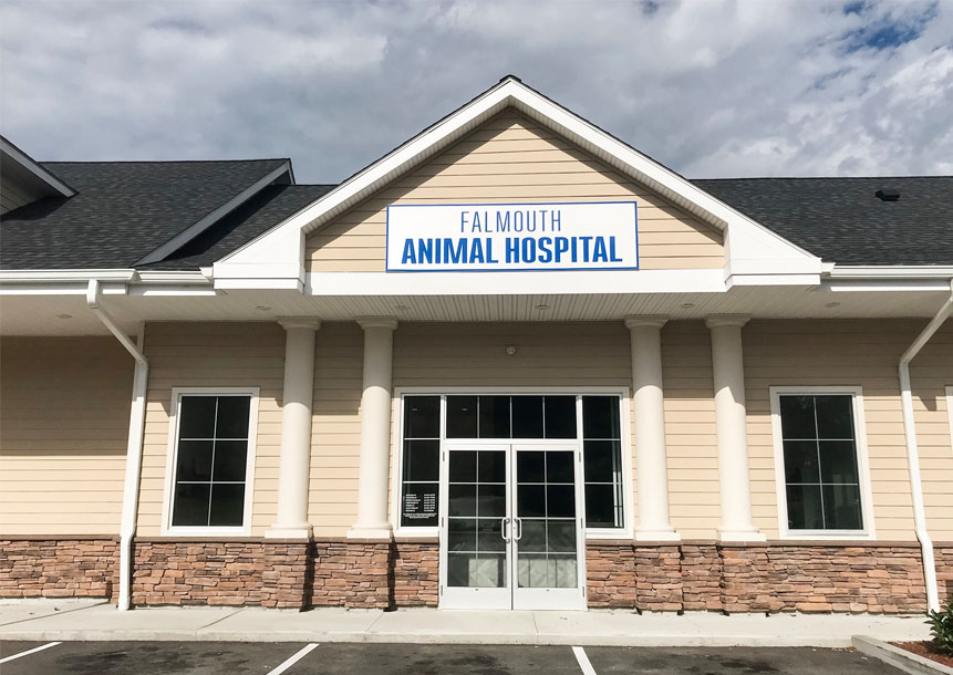 Falmouth Animal Hospital | veterinary services