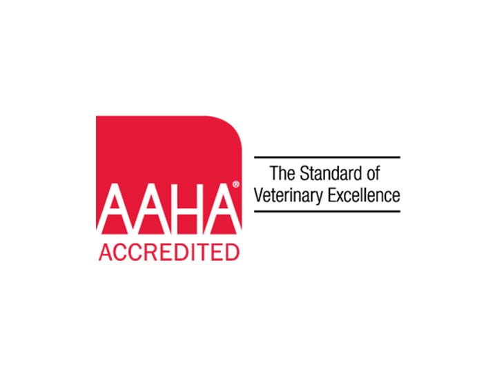 Falmouth Animal Hospital is Now AAHA Certified!